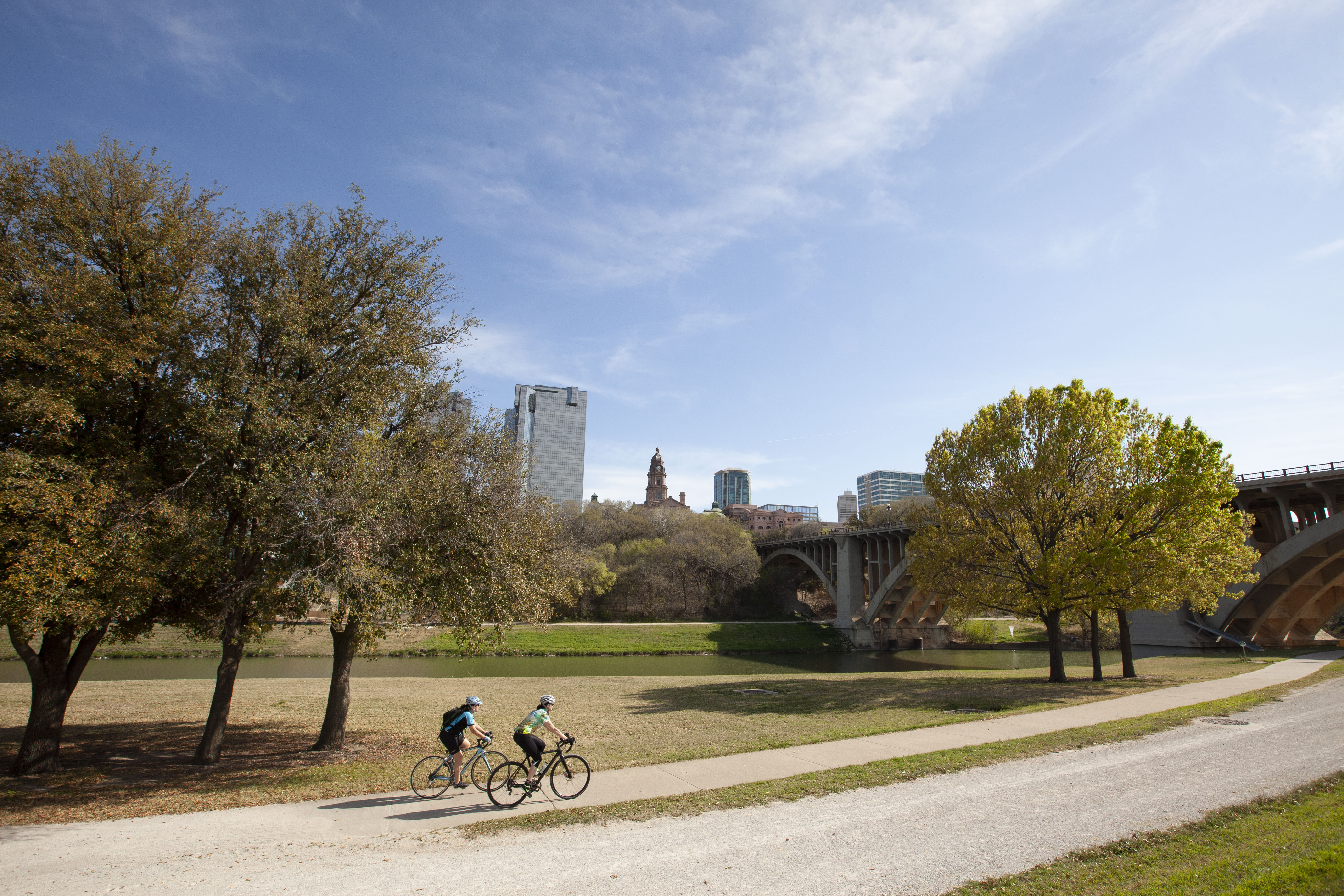People riding their bicycles on a sunny day in Dallas.