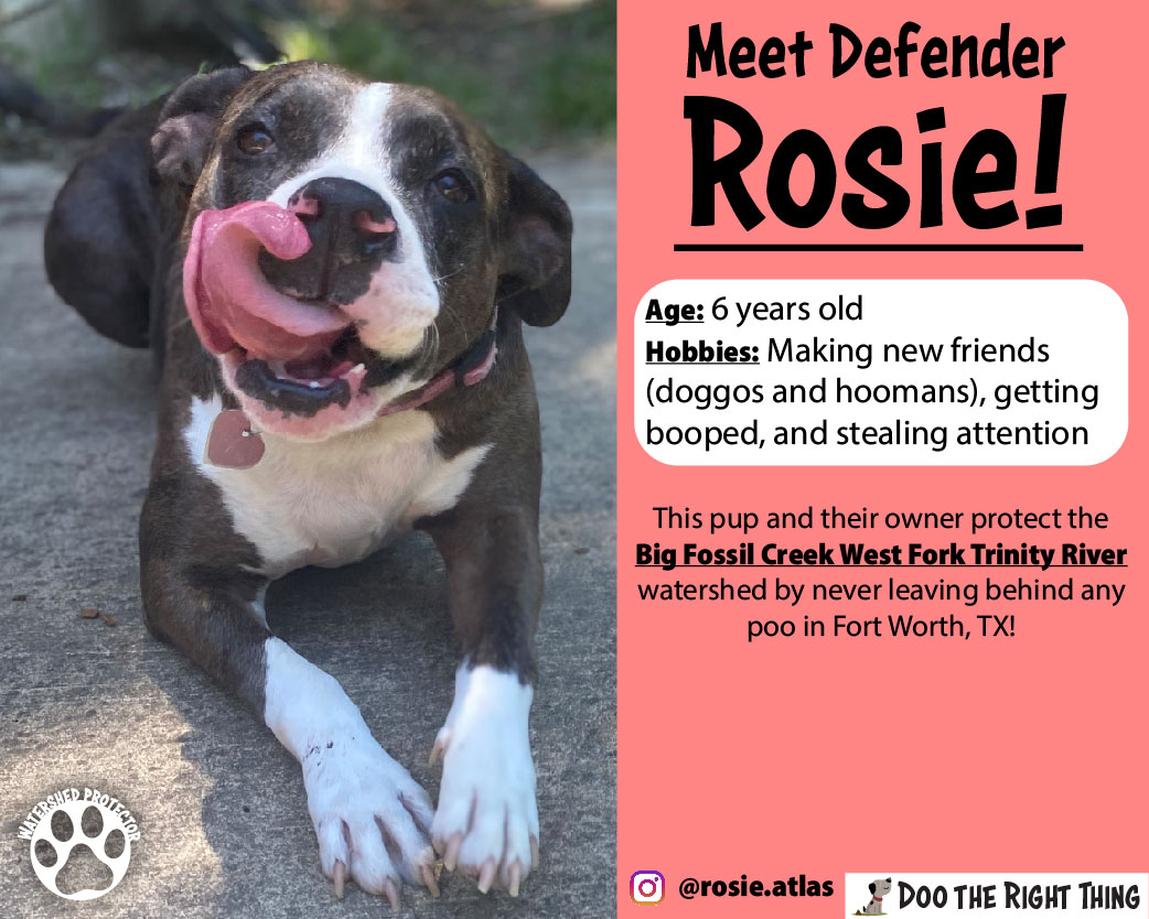 Defender Rosie